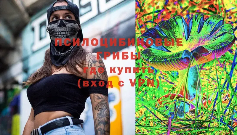 Псилоцибиновые грибы Psilocybe  Белебей 